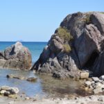 How Bebek Carok Waru Became a Local Favorite